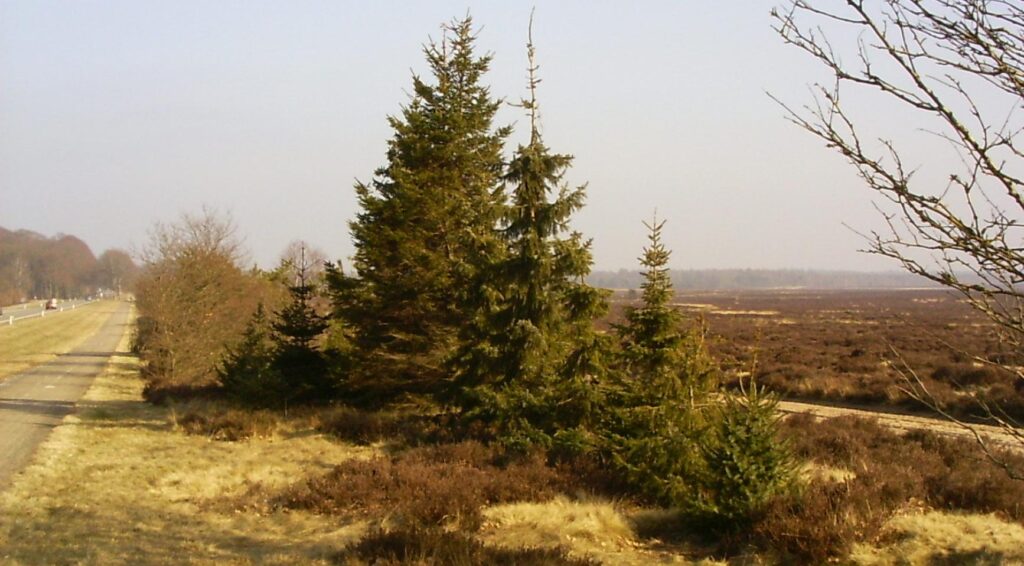 Verdwenen man uit Gelderland veilig teruggevonden, zes maanden na zijn verdwijning