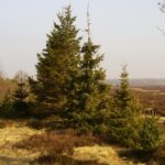 Verdwenen man uit Gelderland veilig teruggevonden, zes maanden na zijn verdwijning