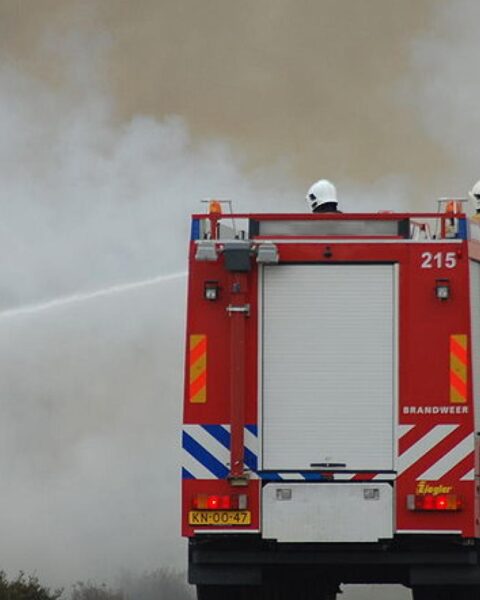 Video: Meerdere bosbranden in Wijchen; politie vermoedt brandstichting