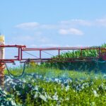 Waterschap Brabantse Delta doet aangifte tegen boeren voor bedreiging van droogte-inspecteurs