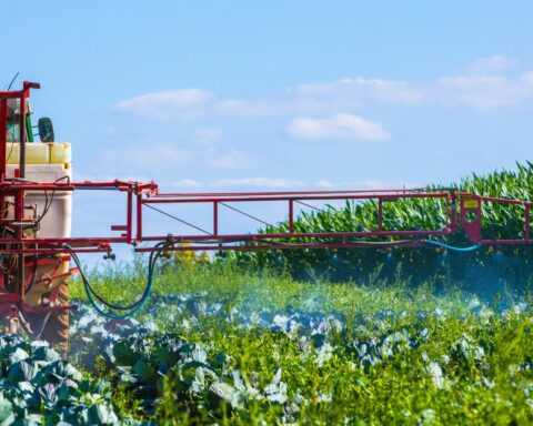 Waterschap Brabantse Delta doet aangifte tegen boeren voor bedreiging van droogte-inspecteurs