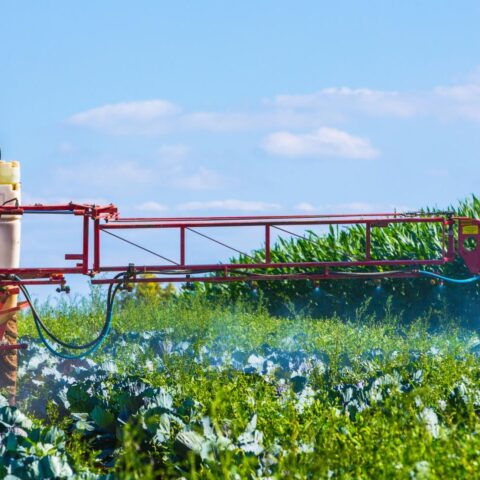 Waterschap Brabantse Delta doet aangifte tegen boeren voor bedreiging van droogte-inspecteurs