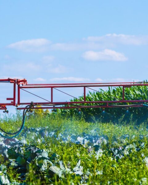 Waterschap Brabantse Delta doet aangifte tegen boeren voor bedreiging van droogte-inspecteurs