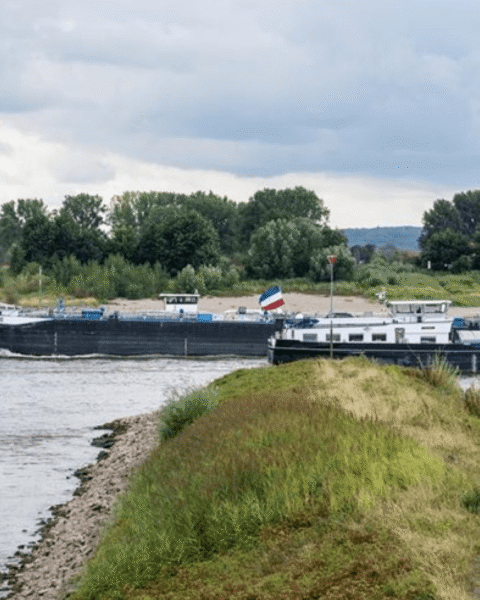 Watertoevoer door de Rijn in Lobith daalt naar record laag, kan vaarweg splitsen