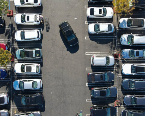 Winkelbelegger wint strijd tegen parkeerregels Castricum bij Raad van State