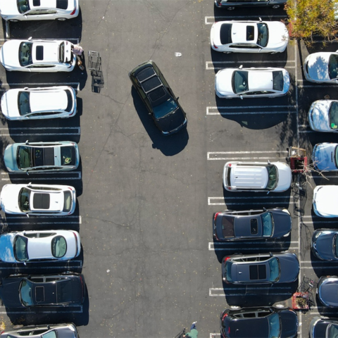 Winkelbelegger wint strijd tegen parkeerregels Castricum bij Raad van State