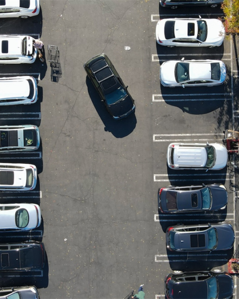Winkelbelegger wint strijd tegen parkeerregels Castricum bij Raad van State