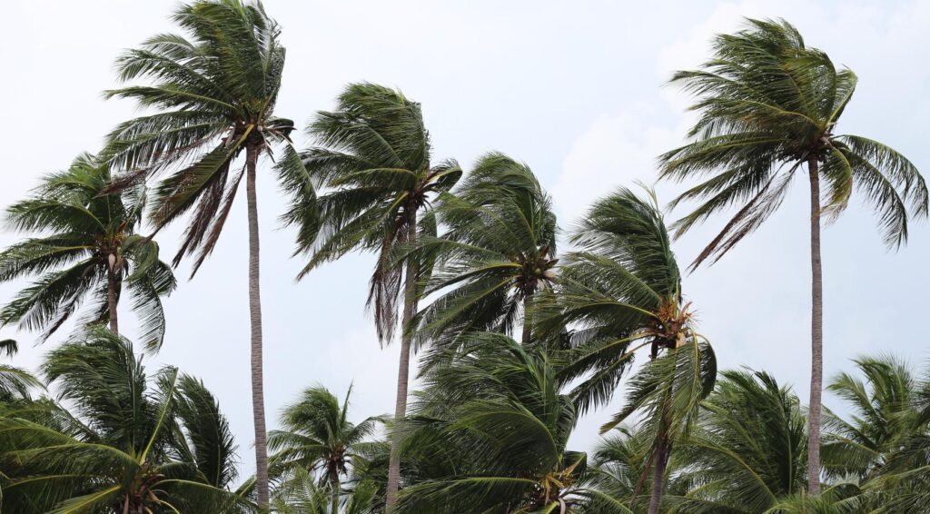 Zorgen over tropische storm Dolly op Sint Maarten, Saba en Sint Eustatius