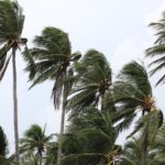 Zorgen over tropische storm Dolly op Sint Maarten, Saba en Sint Eustatius