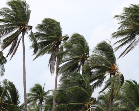 Zorgen over tropische storm Dolly op Sint Maarten, Saba en Sint Eustatius