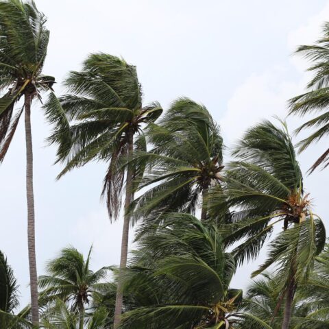 Zorgen over tropische storm Dolly op Sint Maarten, Saba en Sint Eustatius