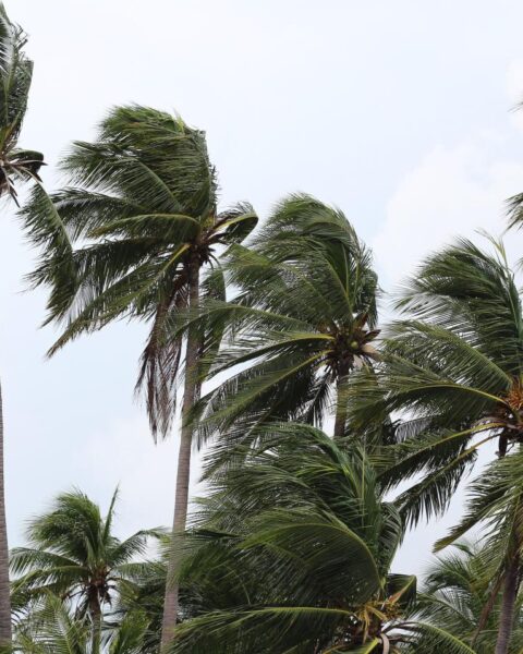 Zorgen over tropische storm Dolly op Sint Maarten, Saba en Sint Eustatius