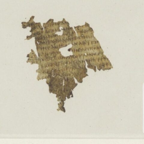 1700 jaar oud fragment van Homer's Odyssee ontdekt in bibliotheek van Universiteit Utrecht