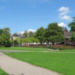 Aantal dodelijke honden in Schiedams Plantagepark stijgt naar vijf, politie onderzoekt mogelijke vergiftigingen