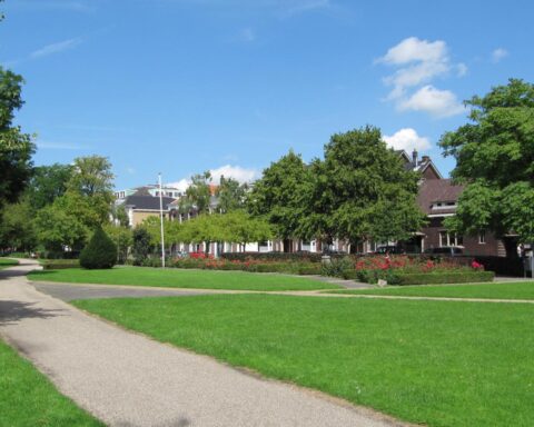 Aantal dodelijke honden in Schiedams Plantagepark stijgt naar vijf, politie onderzoekt mogelijke vergiftigingen