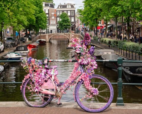 Amsterdamse bloemenfietser moet terug naar Florida wegens gebrek aan verblijfsvergunning