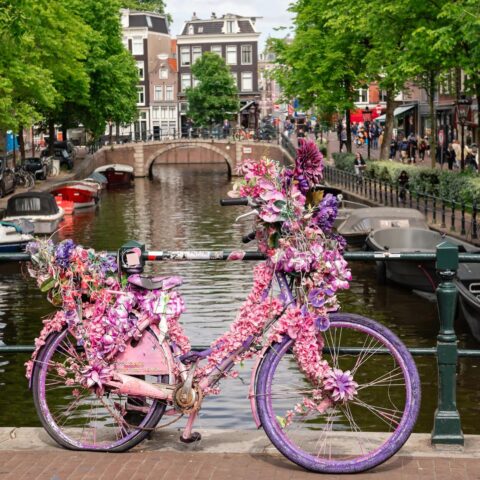 Amsterdamse bloemenfietser moet terug naar Florida wegens gebrek aan verblijfsvergunning