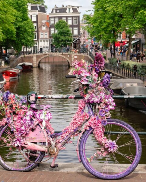 Amsterdamse bloemenfietser moet terug naar Florida wegens gebrek aan verblijfsvergunning