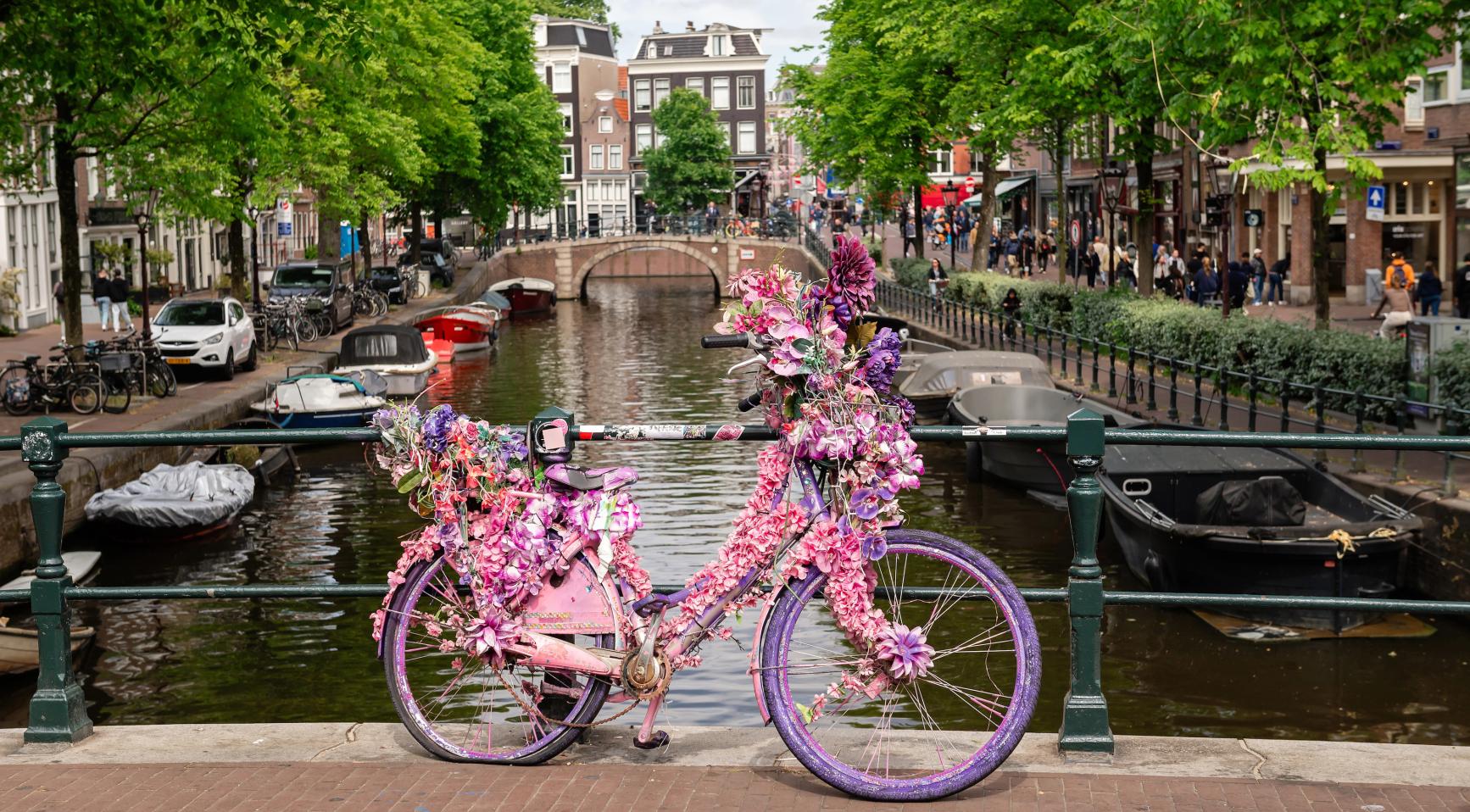 Amsterdamse bloemenfietser moet terug naar Florida wegens gebrek aan verblijfsvergunning