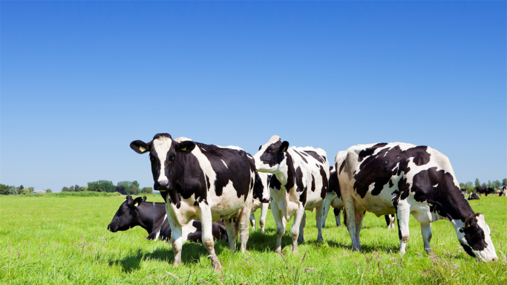 ASR introduceert pachtkorting voor boeren ter ondersteuning van duurzame landbouwtransitie