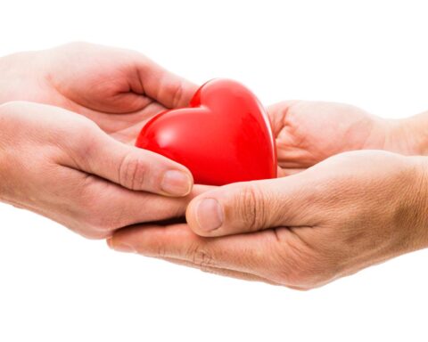 Automatische donorregistratie leidt tot bescheiden stijging aantal orgaandonoren