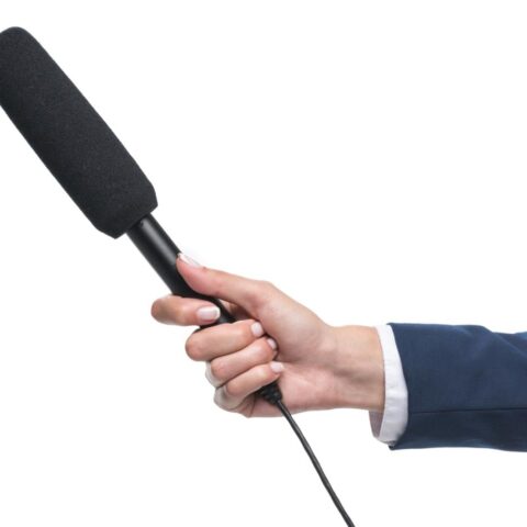 Bijna de helft van de uitingen van ON! noemde de Grote Vervangingstheorie