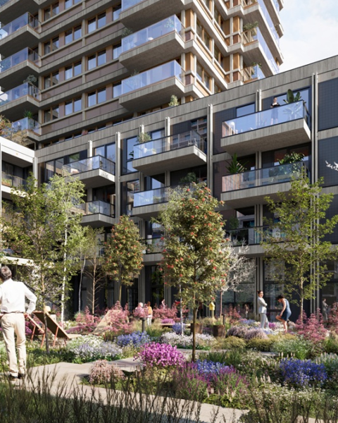 Houtbouw in Nederland moet voorspelbaar worden, stelt expert in duurzame woningbouw