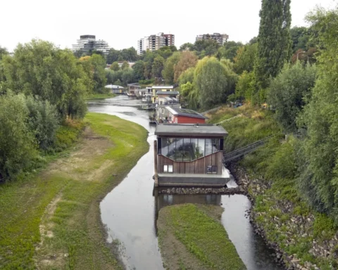 Natuurorganisaties kritisch over natuurherstelplannen minister Van Essen