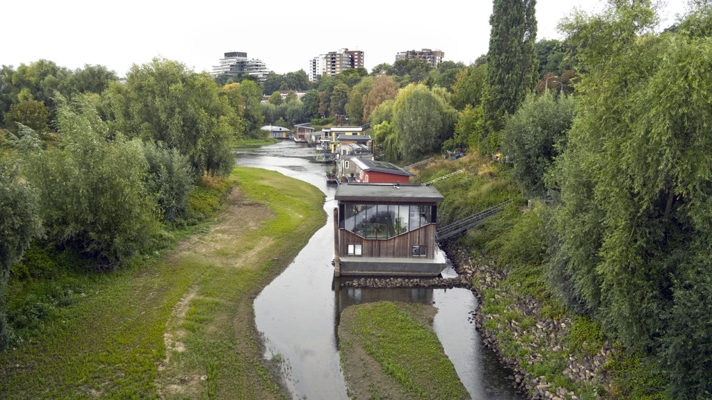 Natuurorganisaties kritisch over natuurherstelplannen minister Van Essen