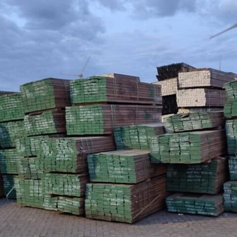 Nederlandse autoriteiten nemen 375 ton illegaal gewonnen tropisch hout in beslag