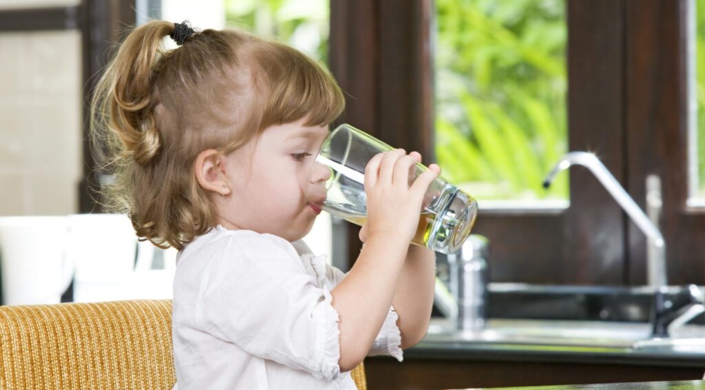 Nederlandse inspectie: Harfmul PFAS-chemicaliën vormen toenemende bedreiging voor drinkwater