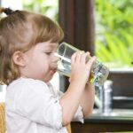 Nederlandse inspectie: Harfmul PFAS-chemicaliën vormen toenemende bedreiging voor drinkwater