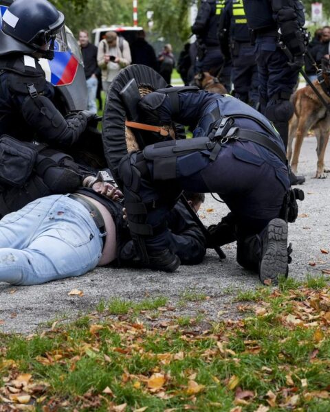 Politie arresteert 24 tijdens gewelddadig rechts-extremistisch protest in Den Haag