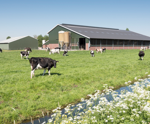 Prijs landbouwgrond overschrijdt € 106.000 met stijging in vraag en aanbodbeperkingen