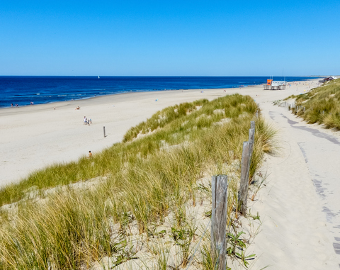 Raad van State vernietigt bestemmingsplan voor luxe hotelproject in Petten door stikstofonderzoek