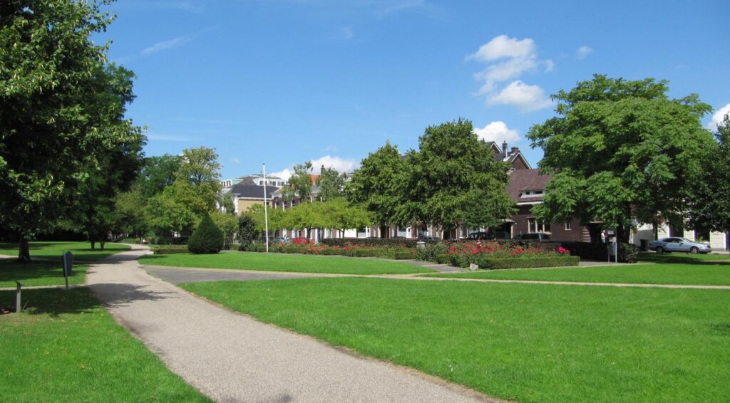 Schiedamse huisdierbezitters gewaarschuwd voor vergiftigingen in stadspark na dood van vier honden