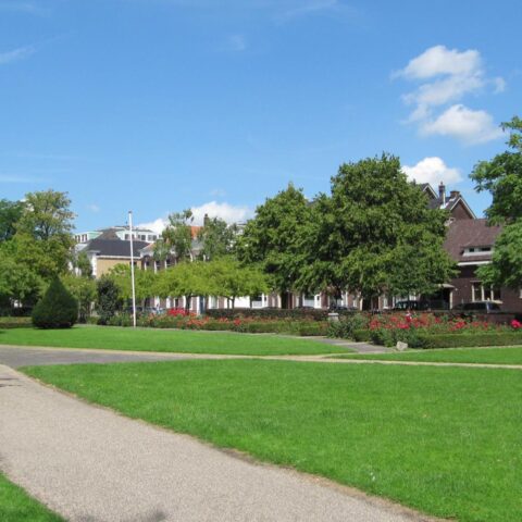 Schiedamse huisdierbezitters gewaarschuwd voor vergiftigingen in stadspark na dood van vier honden