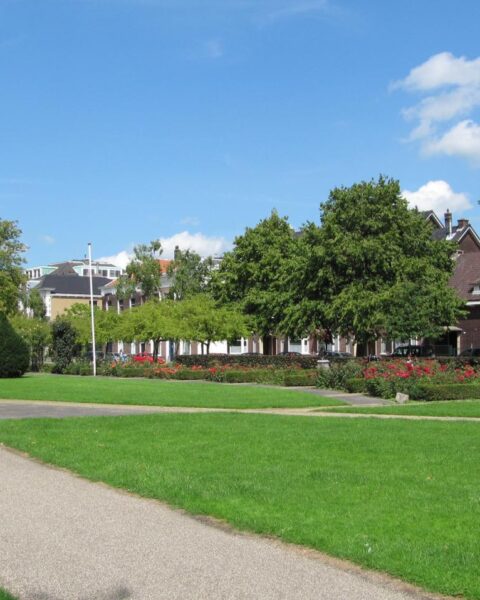Schiedamse huisdierbezitters gewaarschuwd voor vergiftigingen in stadspark na dood van vier honden