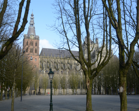 Sint-Jan toren in Den Bosch niet veilig voor werk, activiteiten tijdelijk gestaakt