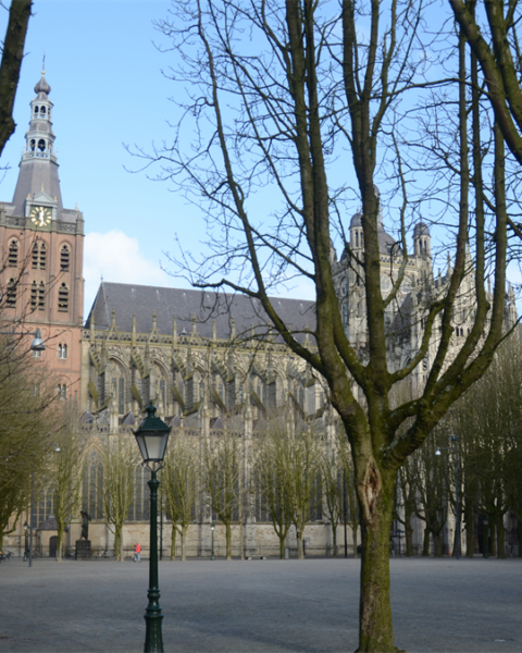 Sint-Jan toren in Den Bosch niet veilig voor werk, activiteiten tijdelijk gestaakt