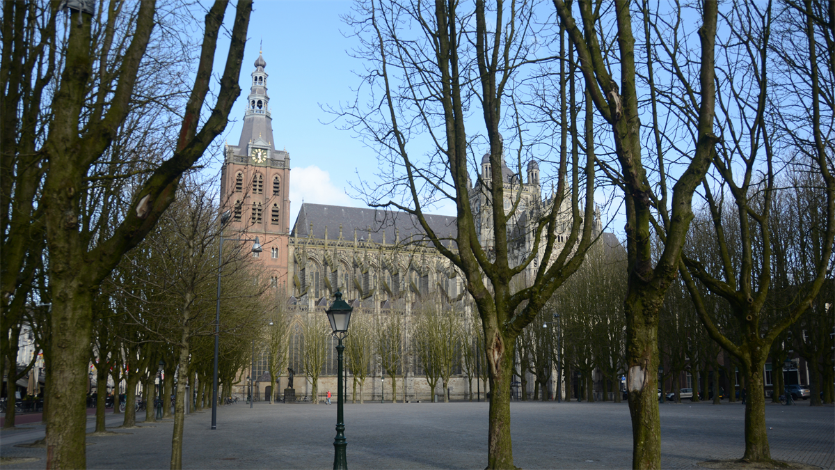 Sint-Jan toren in Den Bosch niet veilig voor werk, activiteiten tijdelijk gestaakt