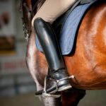 Vlees van verboden paarden mogelijk in voedselketen na handelsfraude