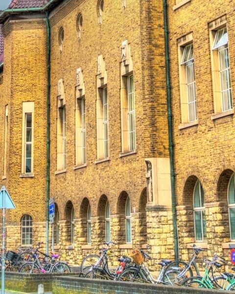 Geen strafrechtelijk onderzoek tegen Gazaanse student van Maastricht University na videoplatform oktober 7