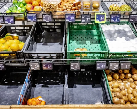 Lege en deels gevulde groenterekken met citrus en kiwi's in een Albert Heijn-supermarkt.