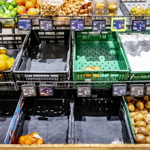 Lege en deels gevulde groenterekken met citrus en kiwi's in een Albert Heijn-supermarkt.