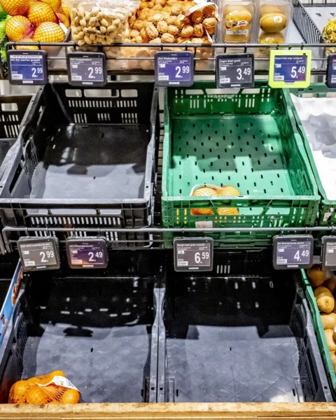Lege en deels gevulde groenterekken met citrus en kiwi's in een Albert Heijn-supermarkt.