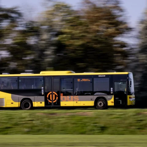 Een gele en grijze streekbus rijdt langs bomen op een landelijke weg.