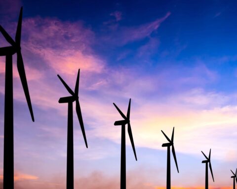Vertrekkende TenneT-CEO pleit voor nieuwe fabrieken aan de Nederlandse kust om te profiteren van windenergie