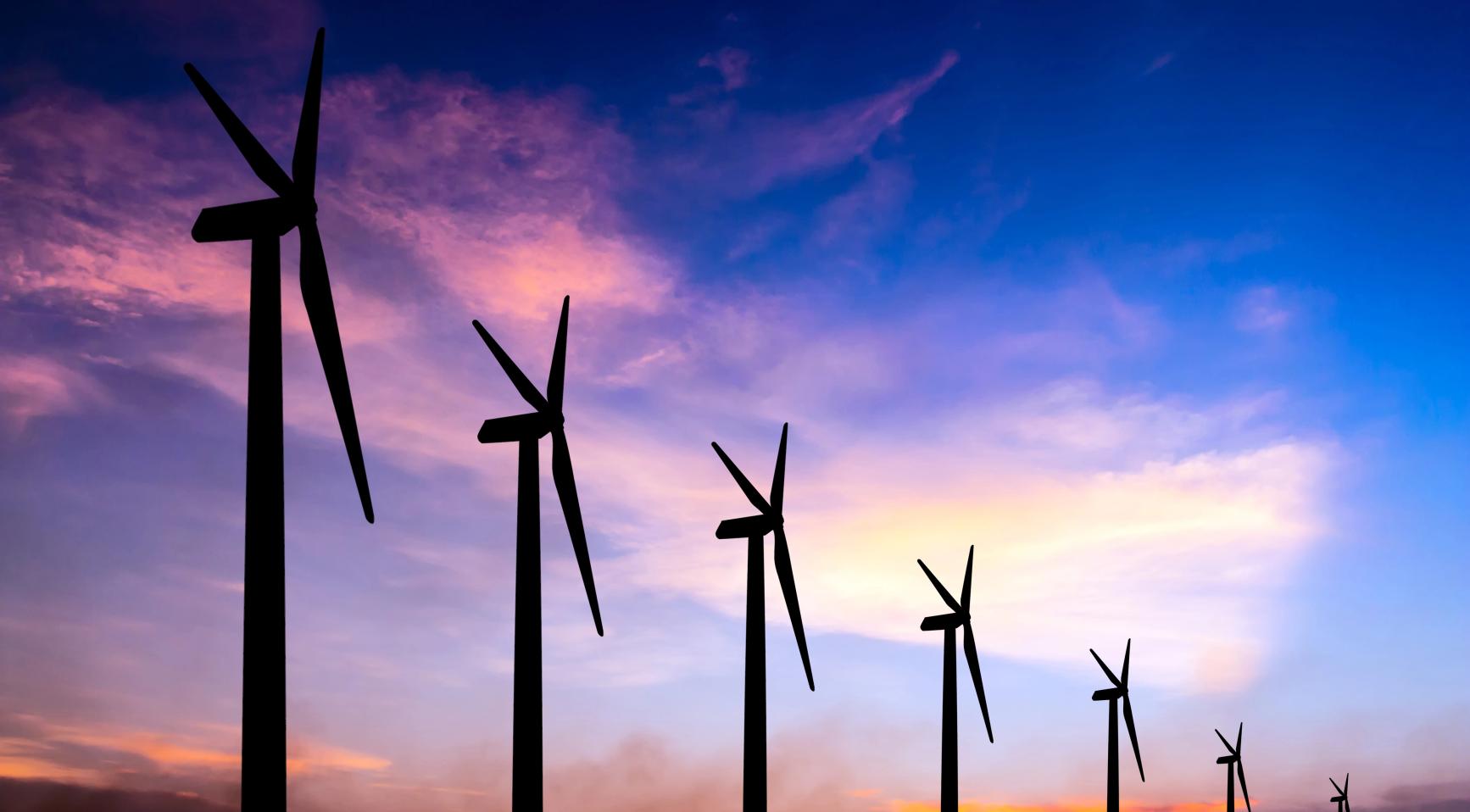 Vertrekkende TenneT-CEO pleit voor nieuwe fabrieken aan de Nederlandse kust om te profiteren van windenergie